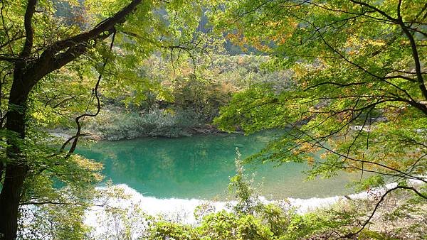 P1160315 - 複製.JPG