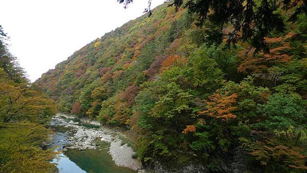 P1160344.JPG