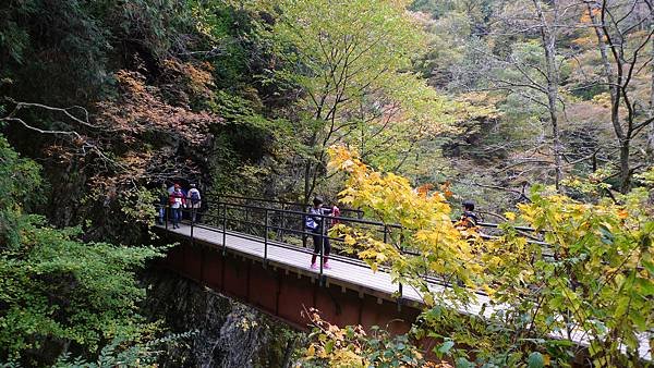 P1160352.JPG