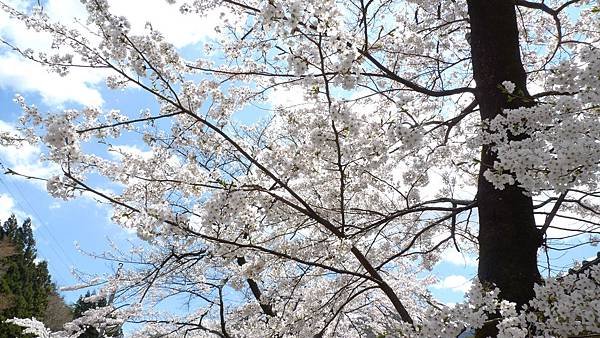 P1040970.JPG