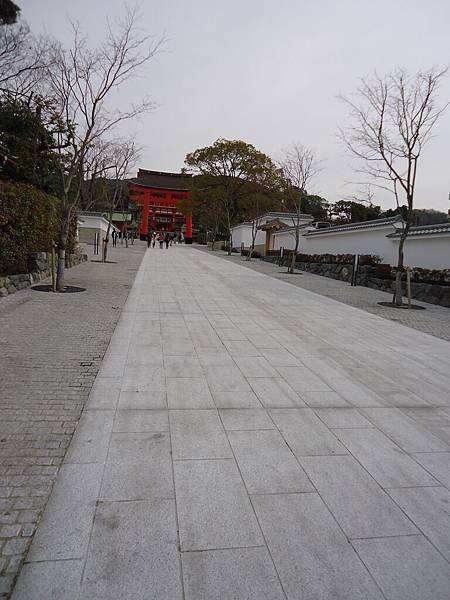DSC04205