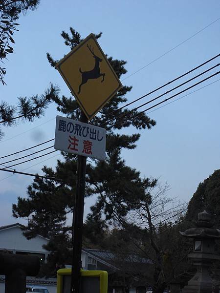 DSC04450