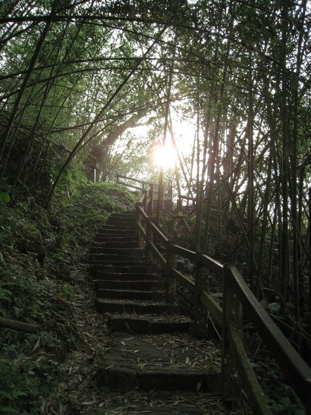 2009.04.11_遠征鹿林山 015.jpg