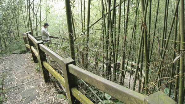 2009.04.11_遠征鹿林山 016.jpg