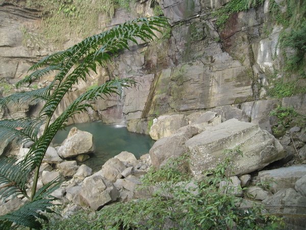 2009.04.11_遠征鹿林山 019.jpg