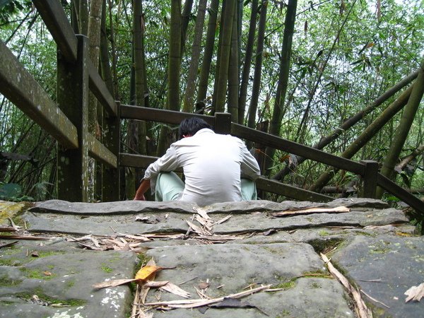 2009.04.11_遠征鹿林山 099.jpg