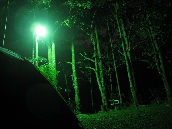 2009.04.11_遠征鹿林山 138.jpg
