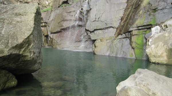 2009.04.11_遠征鹿林山 023.jpg