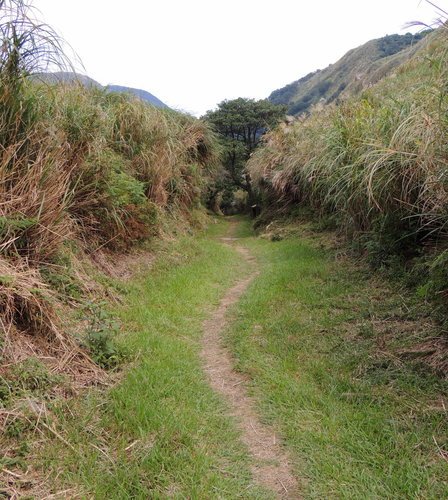 金包里大路/魚路古道