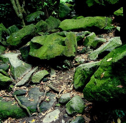 青山瀑布...步道