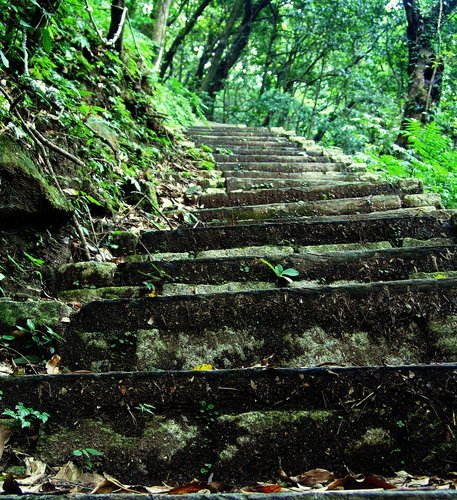 青山瀑布...步道