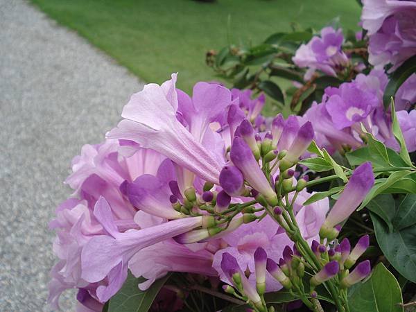 DSC00238