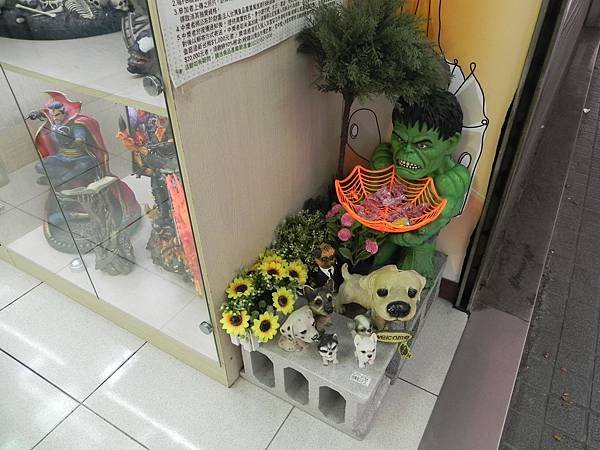 DSCN9553