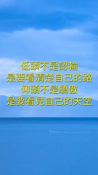 1690330931600.jpg