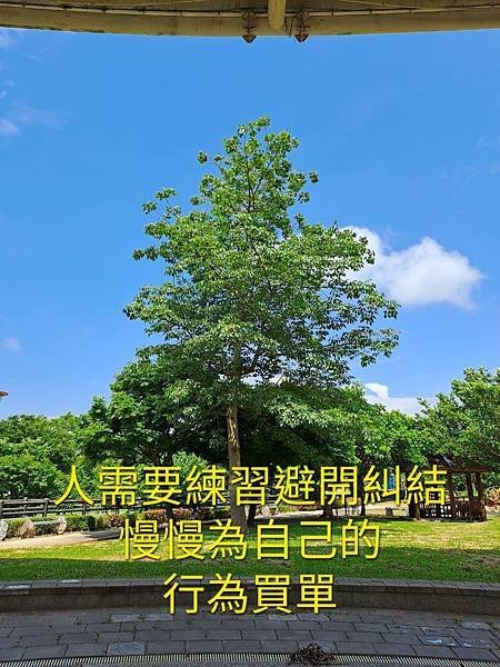 放下執著！把生命聚焦在當下