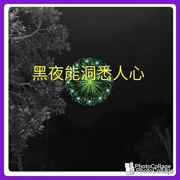 放下執著！把生命聚焦在當下