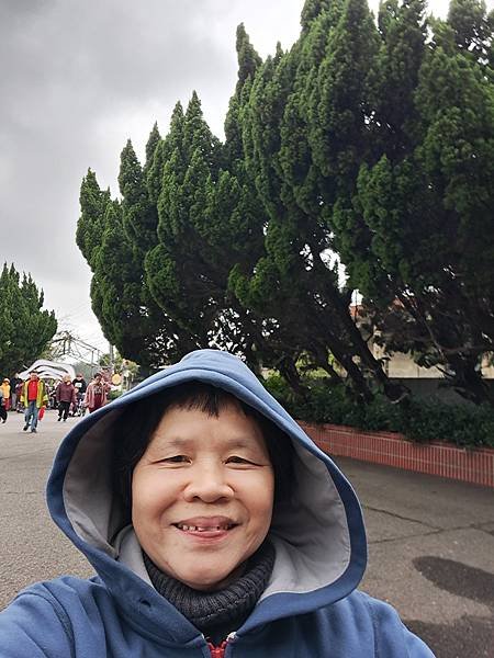 冬天的風景盡收眼底