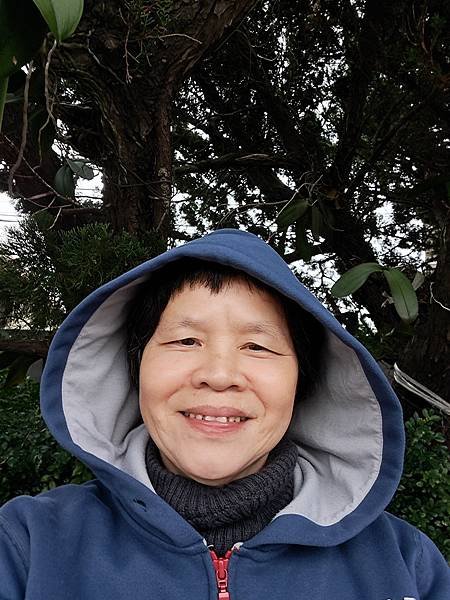 冬天的風景盡收眼底