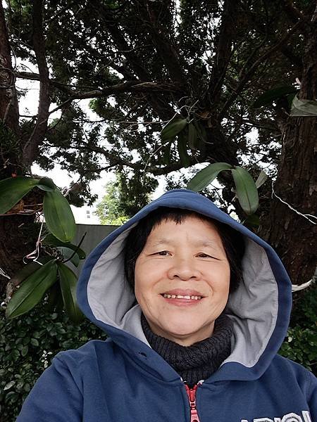 冬天的風景盡收眼底