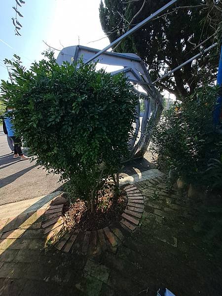 盡情享受冬天無私溫暖的陽光