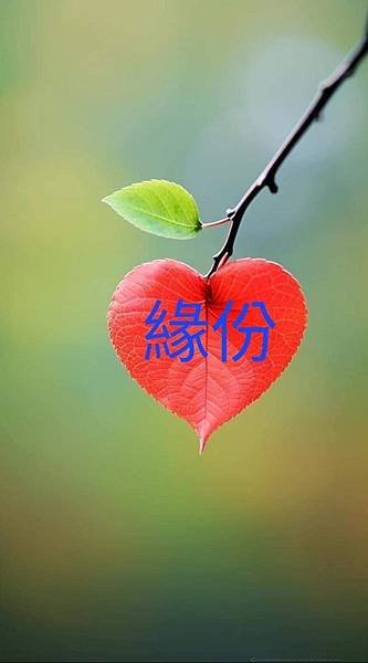 星雲大師解析緣份