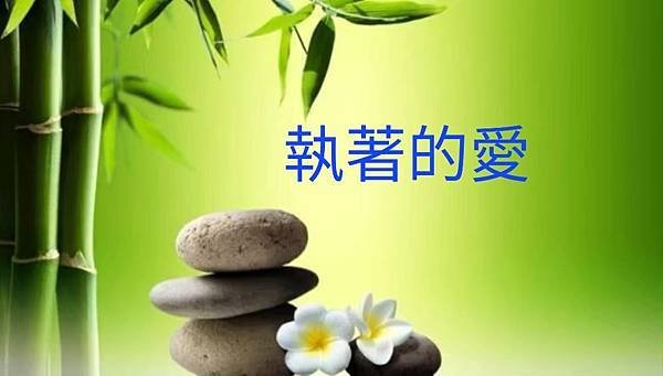 執著的愛