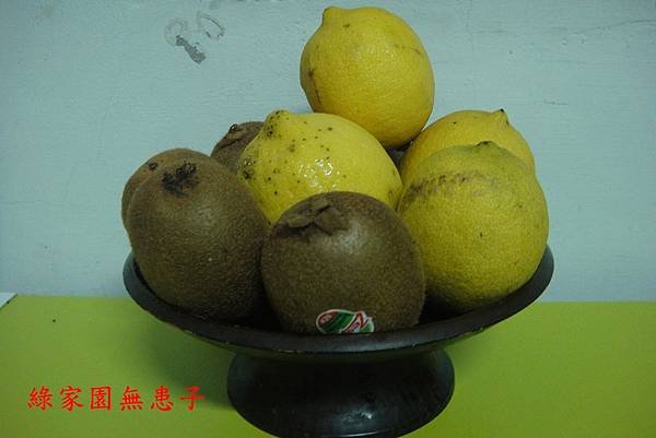 DSC04242