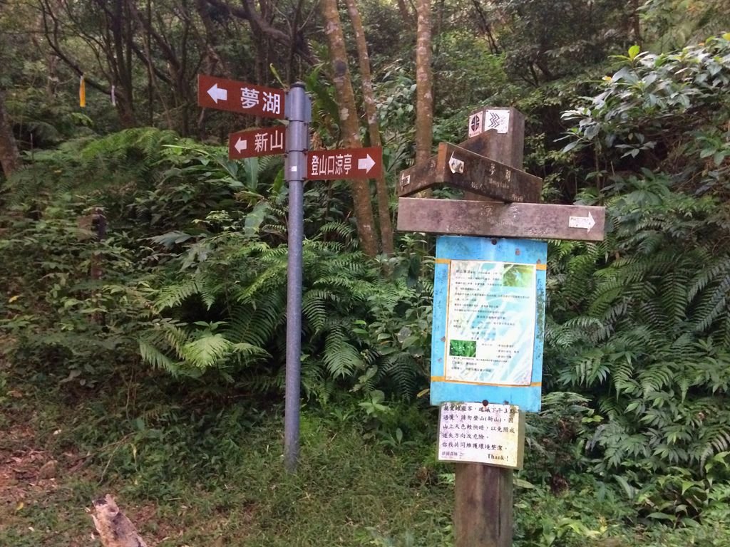 04.jpg