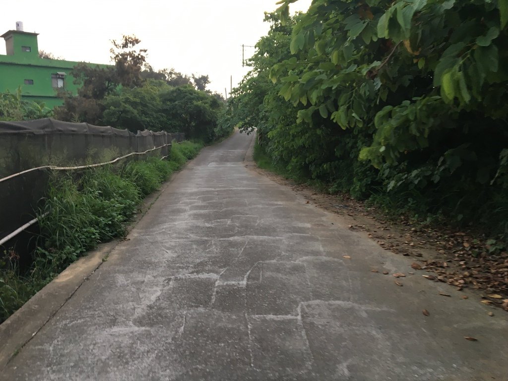 05.jpg