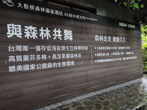 IMG20200607141051.jpg
