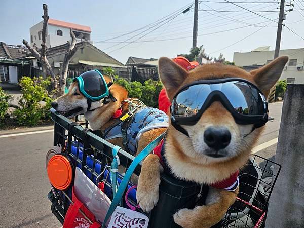 114/04/07大甲媽祖D3~北港朝天宮駐駕