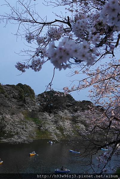P1030980.JPG