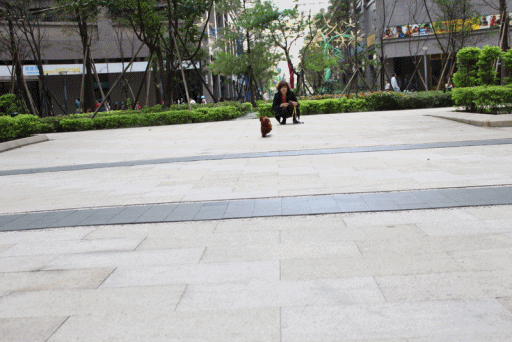 米1.gif