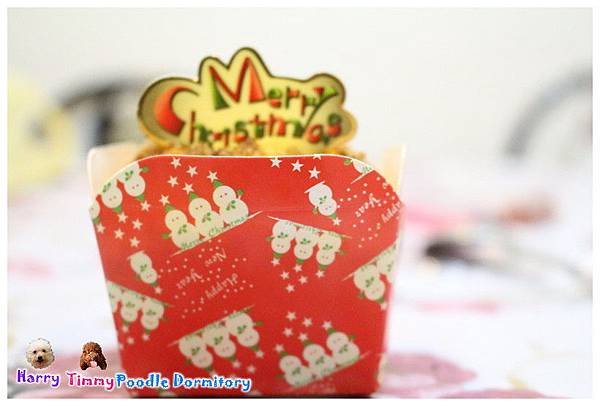 IMG_4041.JPG