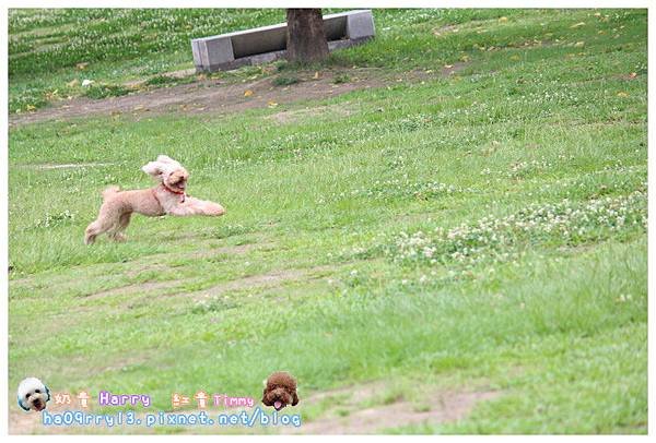 IMG_9641.JPG