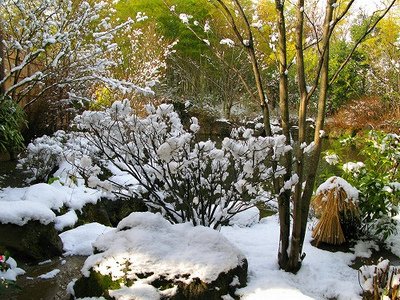 雪.bmp
