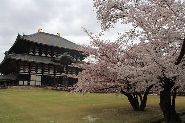 奈良東大寺08.JPG