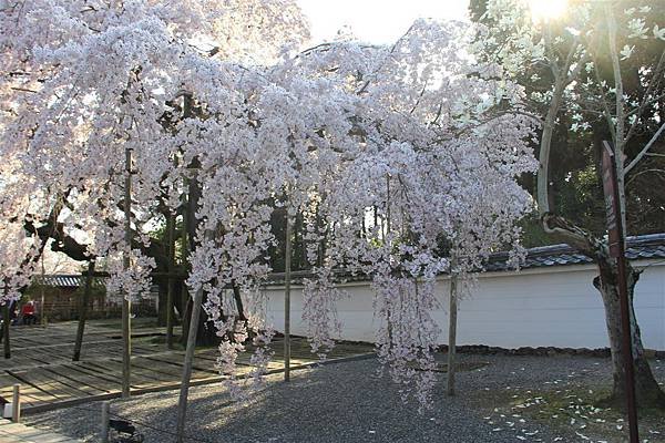 醍醐寺04.JPG