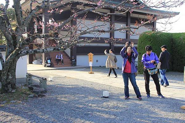 醍醐寺07.JPG