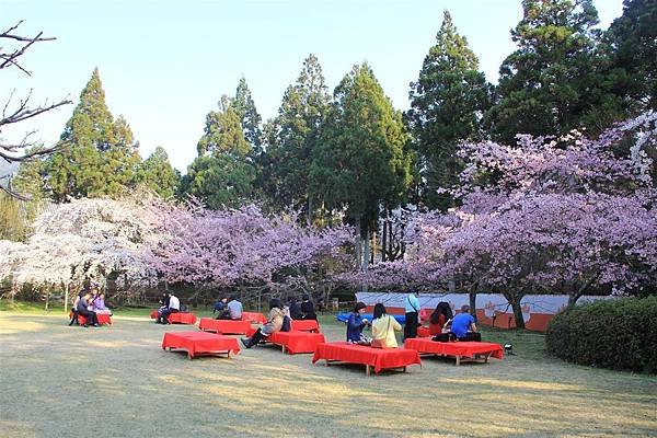 醍醐寺15.JPG