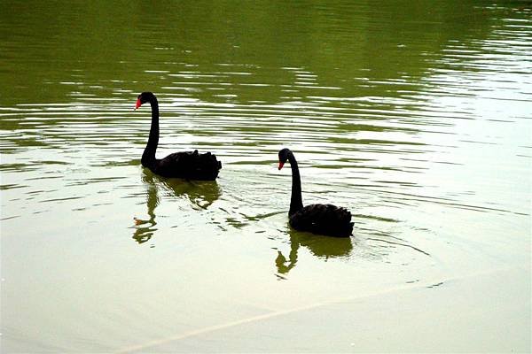 西安-大唐芙蓉園22.JPG