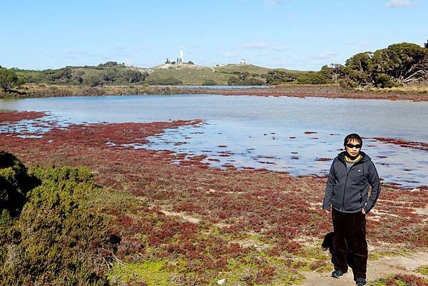 伯斯-羅特尼斯島10.JPG