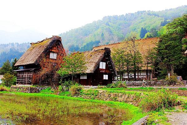 日本-合掌村.JPG