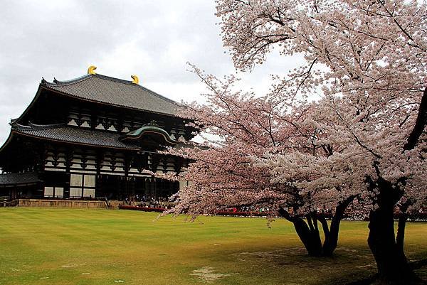 日本-東大寺.jpg