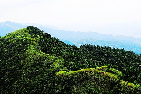 五分山(步道).JPG