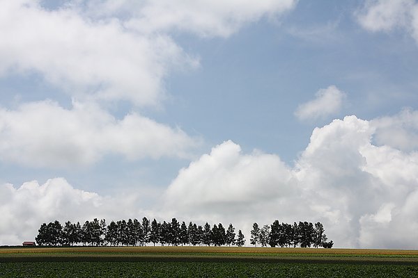 IMG_3771.JPG