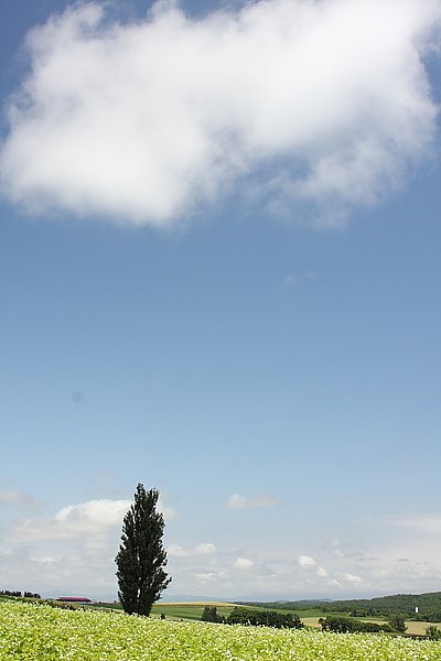 IMG_3709.JPG