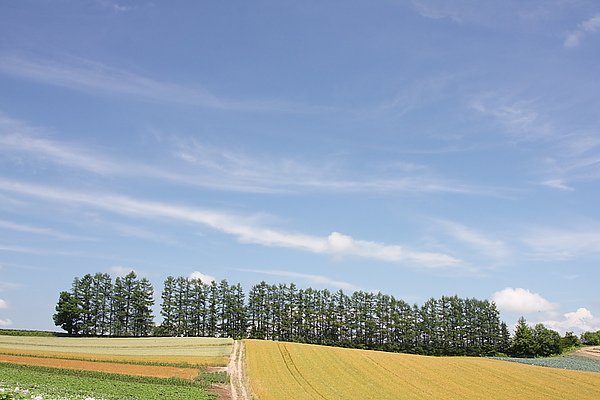 IMG_3822.JPG