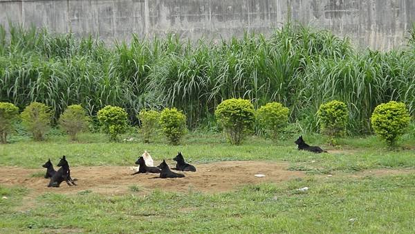 河濱公園一家.JPG