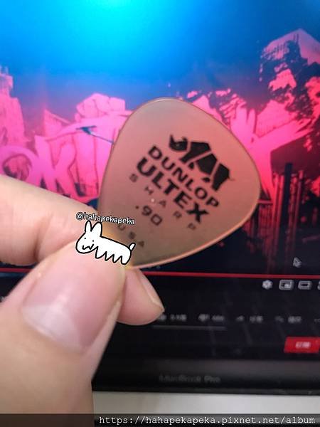 dunlop ultex pick